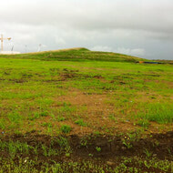 Pre-excavation project site.